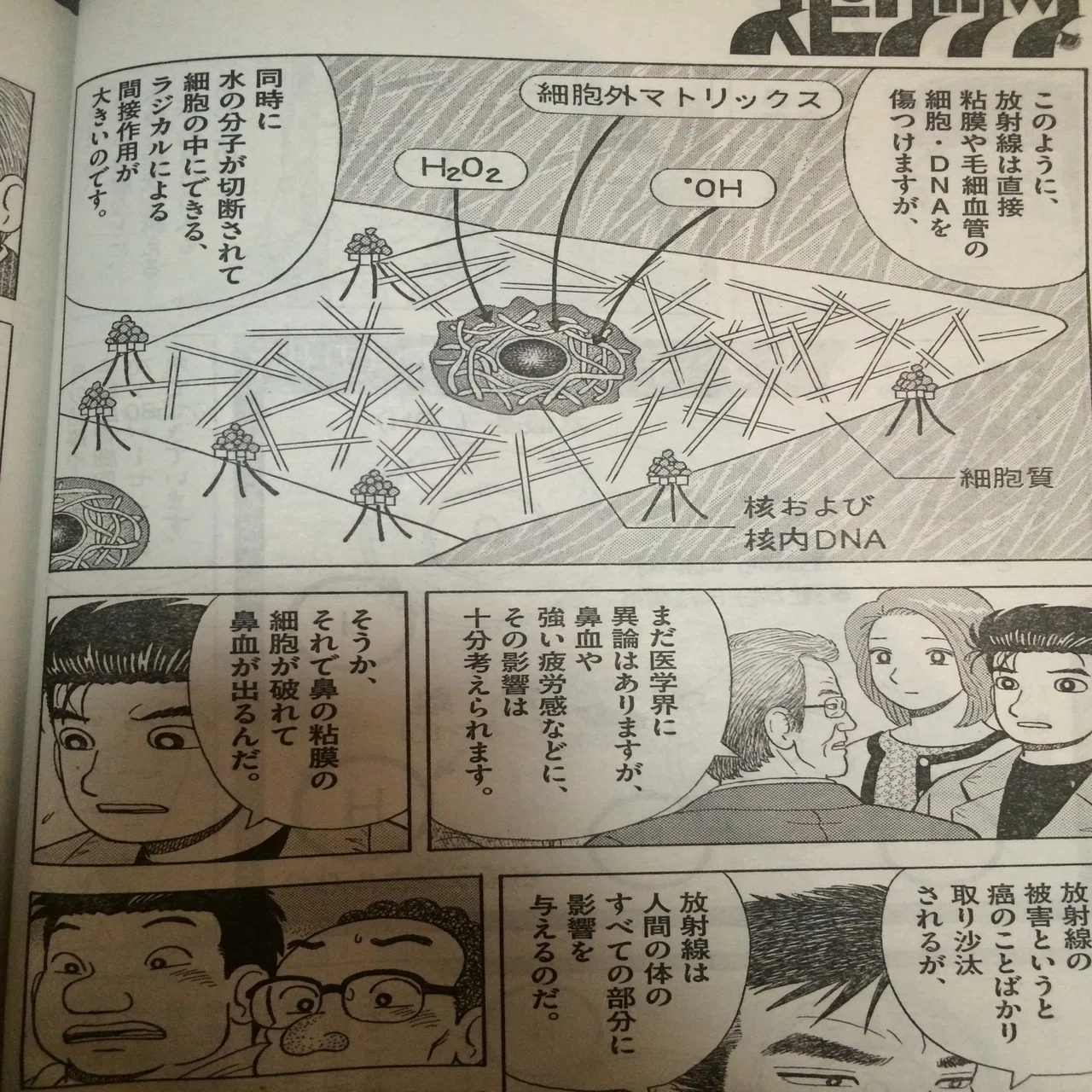 美味しんぼ 福島 鼻血