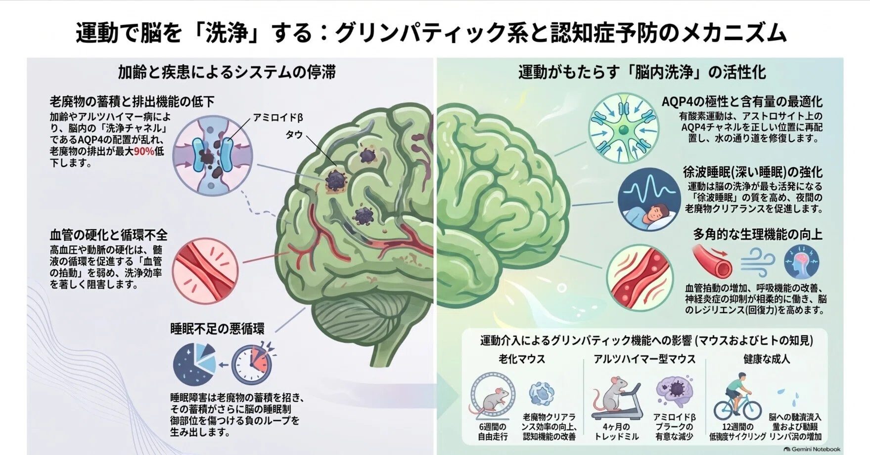 グリンパ ティック システム