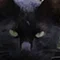 黒猫冠者