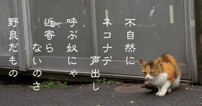 怪しい不動産広告 Nakasugi Dlworks Note