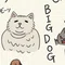 わんたん