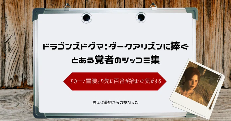 ドラゴンズドグマ: ダークアリズンに捧ぐ　とある覚者のツッコミ集 その一/冒険より先に百合が始まった気がする
