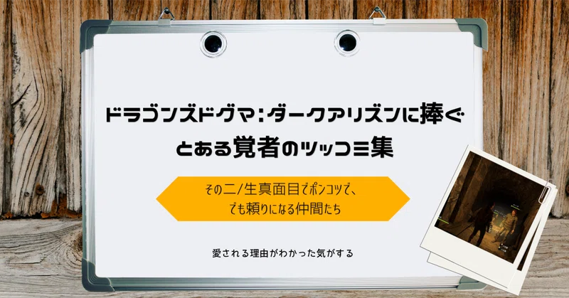 ドラゴンズドグマ: ダークアリズンに捧ぐ　とある覚者のツッコミ集 その二/生真面目でポンコツで、でも頼りになる仲間たち