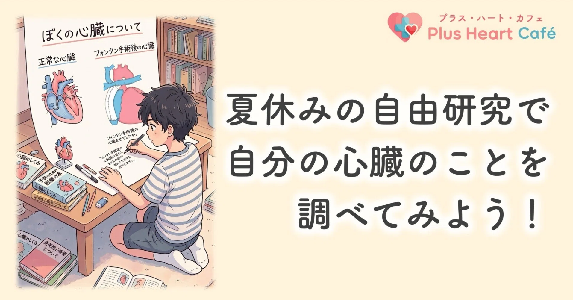 夏休みの自由研究で、自分の心臓のことを調べてみよう！｜プラス