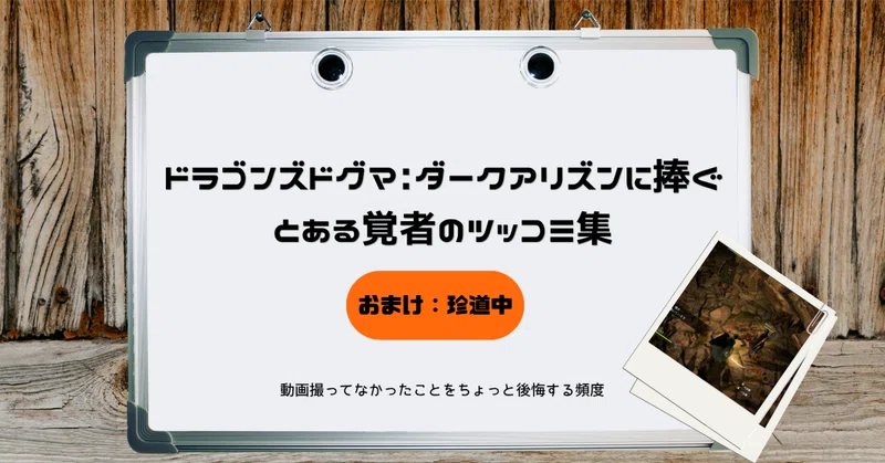 ドラゴンズドグマ: ダークアリズンに捧ぐ　とある覚者のツッコミ集 おまけ：珍道中