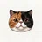にゃんちゅう🐾