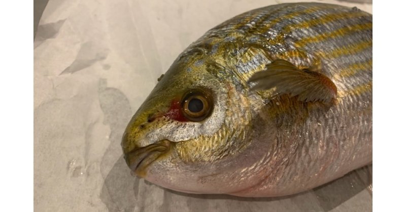 ロンドン魚屋の全然役に立たないお魚図鑑 輸入魚編 プリヒル姉さん 魚屋 Note