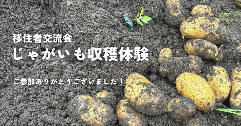 【レポート】移住者交流会「じゃがいも収穫体験」
