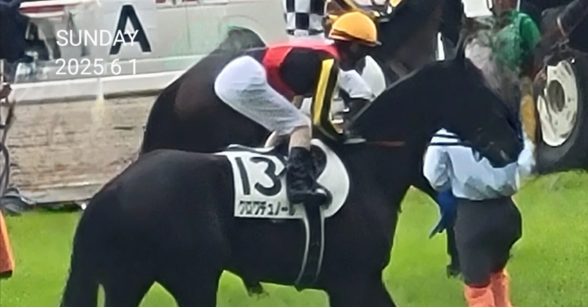 大井7レース 地方競馬 大井競馬予想 2026/8/14｜ひまわり厨#フォロバ100％