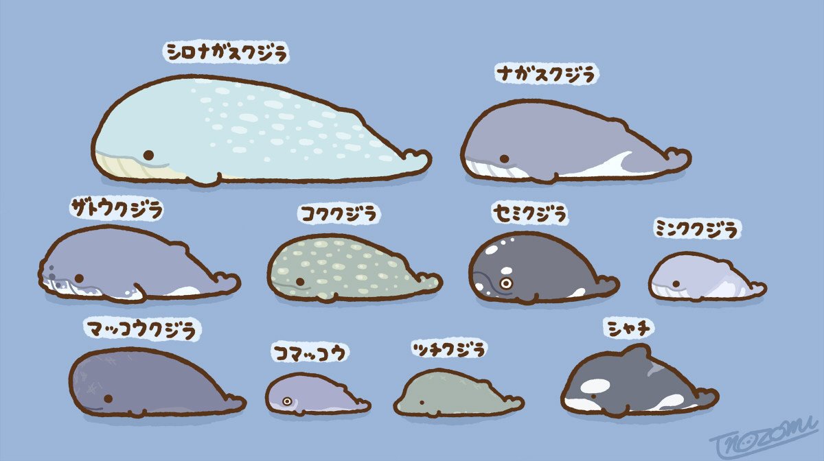 イラスト クジラ 高橋のぞむ Note