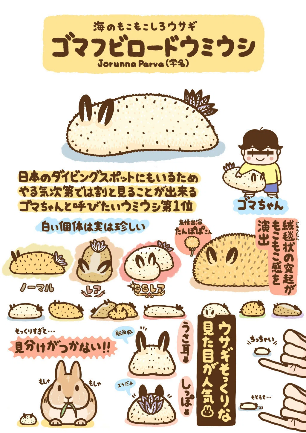 ゴマフビロードウミウシ の新着タグ記事一覧 Note つくる つながる とどける