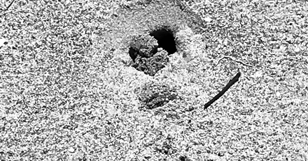 ヤシガニのウインク の新着タグ記事一覧 Note つくる つながる とどける ヤシガニのウインク の新着タグ記事一覧 Note つくる つながる とどける