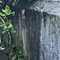 ワシ現実