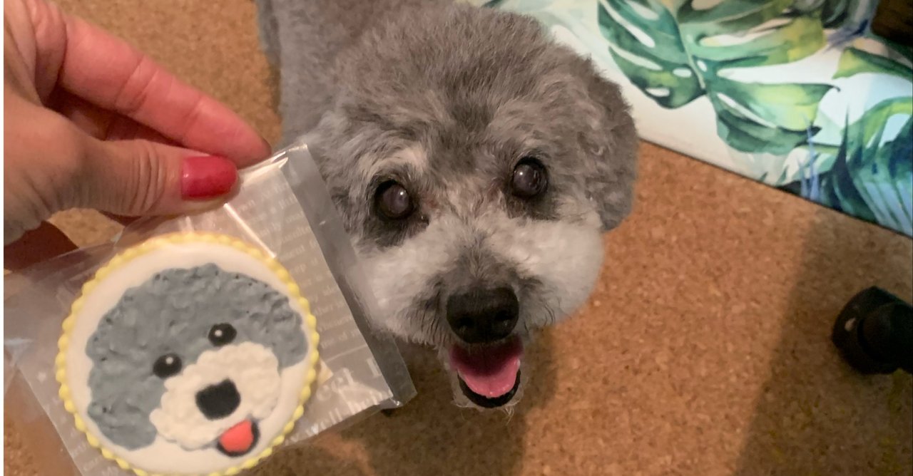 笑う犬 の新着タグ記事一覧 Note つくる つながる とどける