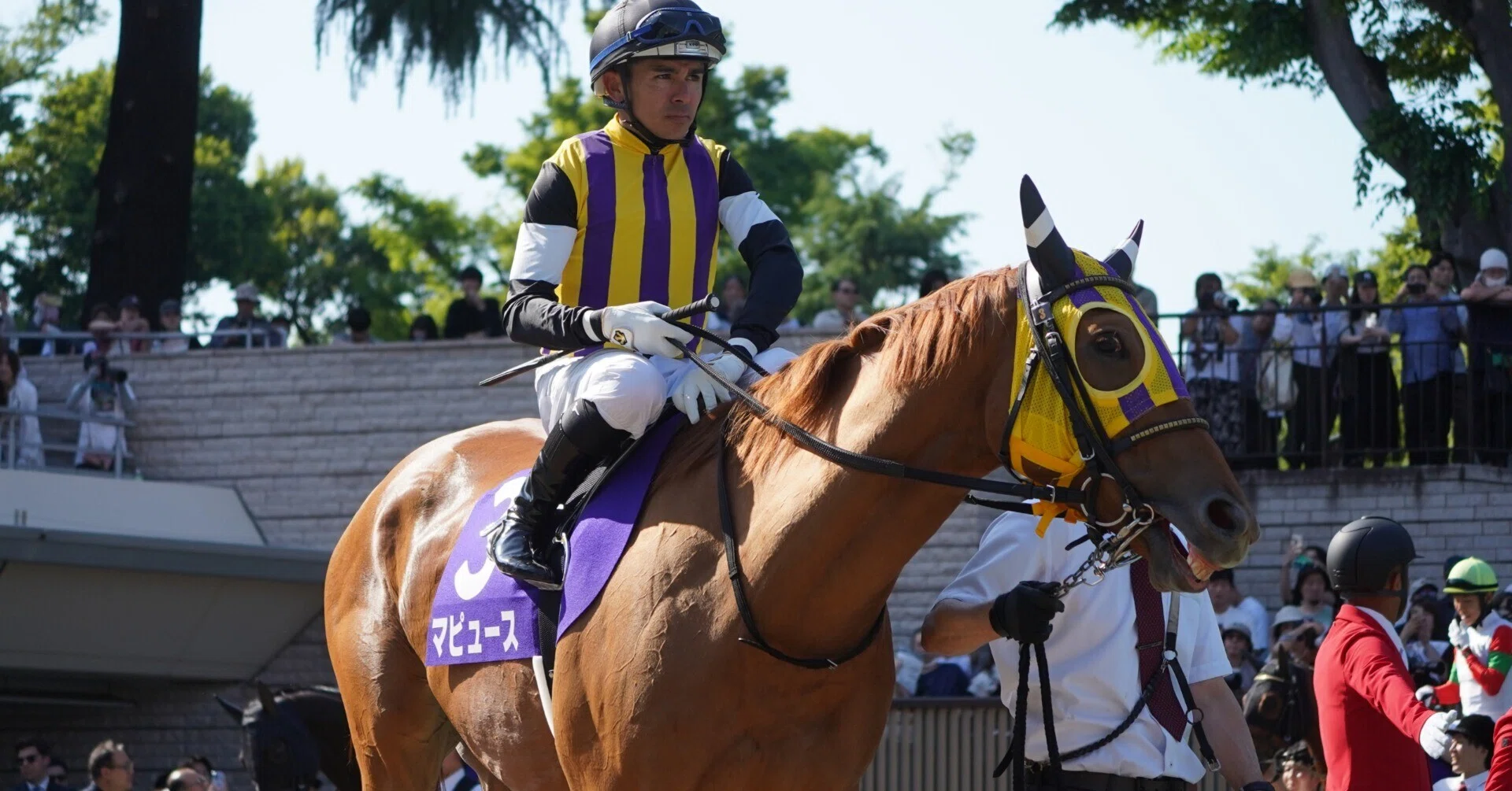 中京記念の馬券を当てよう!!! 過去のデータを元に、有力馬をあぶり出す