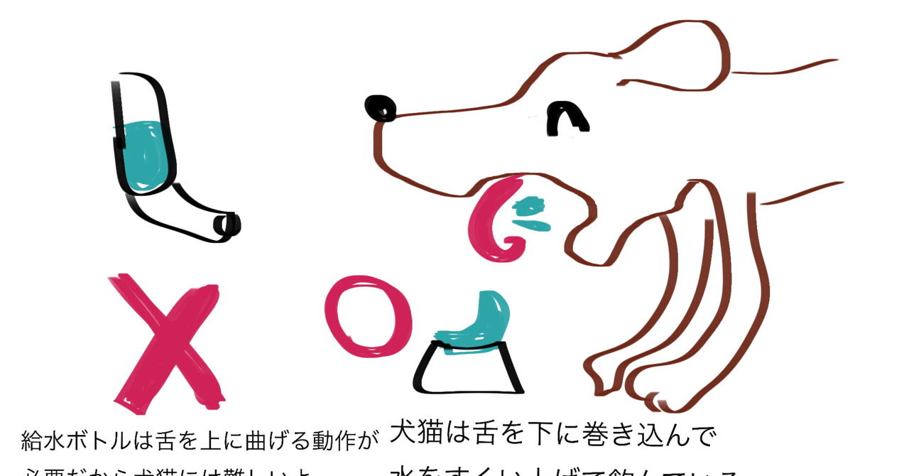 犬や猫にはお皿で水を与えよう 獣医師ふーの 獣医さんとやってみよう自由研究 Note