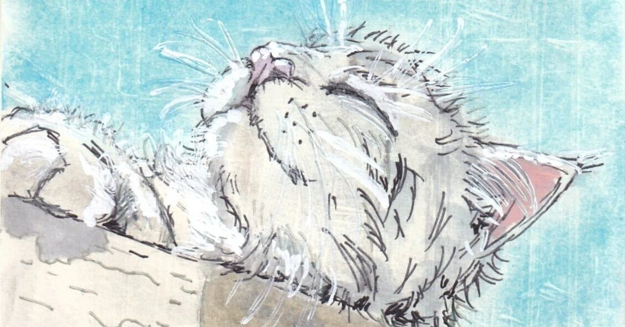 The Crazy Cat, on the Run｜本屋カフェ夢想堂