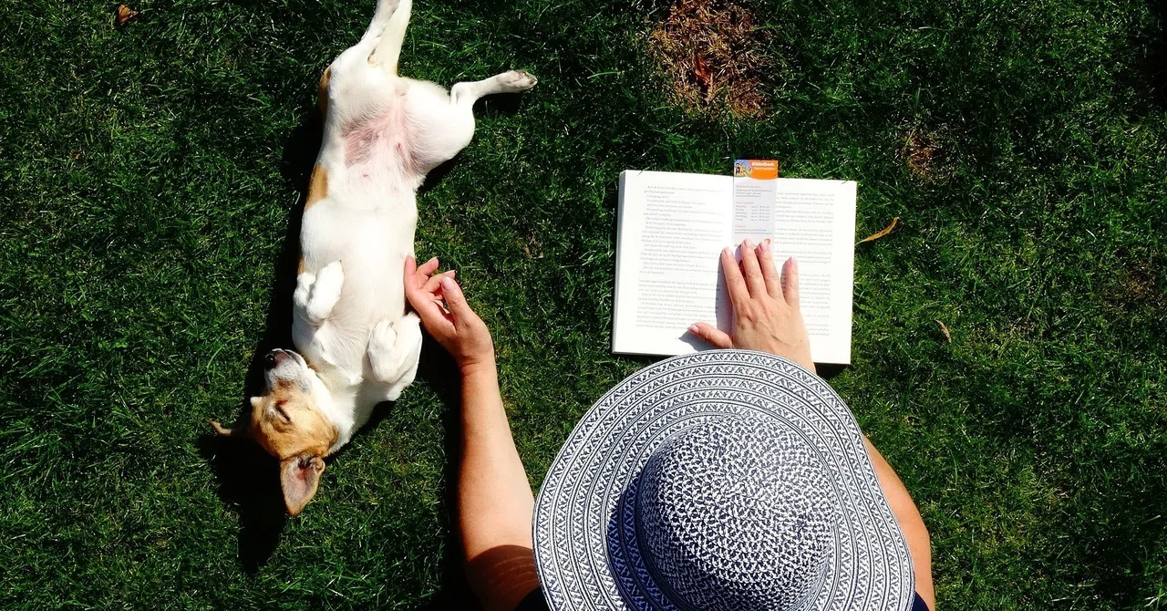I don't need 'speed reading.' The benefits of 'absent-minded reading ...