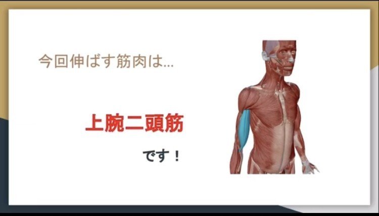 4腕まわり 上腕二頭筋 セルフストレッチ Dr ストレッチ八重洲地下街店 Note