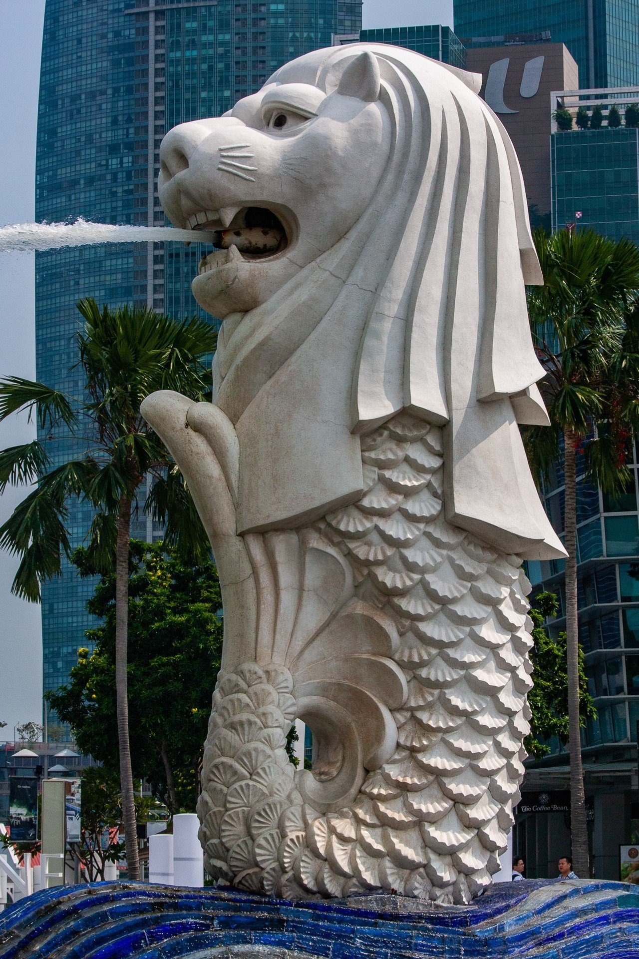 シンガポール Zenpaku Note シンガポール Zenpaku Note