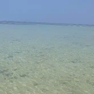 たろう