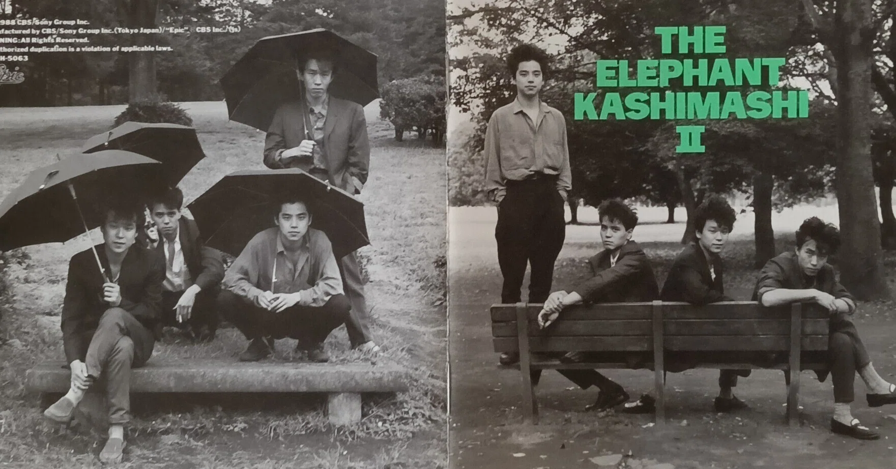 THE ELEPHANT KASHIMASHI Ⅱ 嵐の晩と「若奥様のナマ下着」が好きさ
