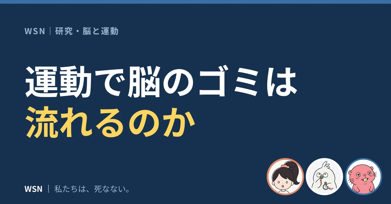 運動で脳の「ゴミ出し」は進むのか ─ グリンパティック系でどこまで分かっているか|私たちは死なない編集部