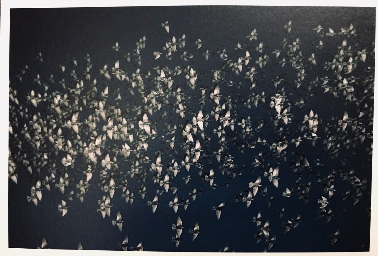 新国立美術館の古典×現代2020 闇に浮かぶ仏像を見つめて｜Azusa Mizuno