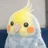 こちゃん