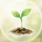 めめの実験室🌱