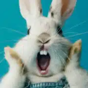 もりそんご