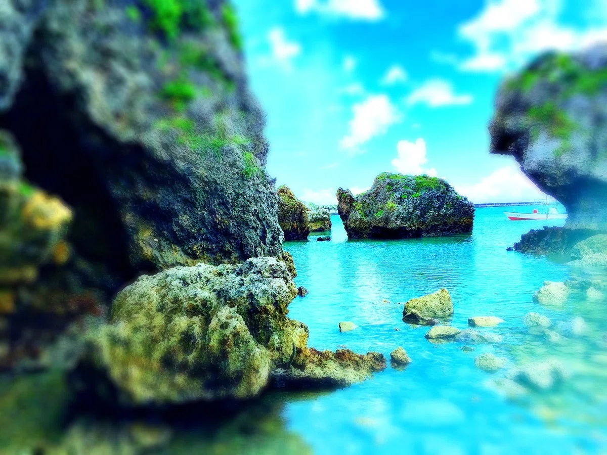画像3
