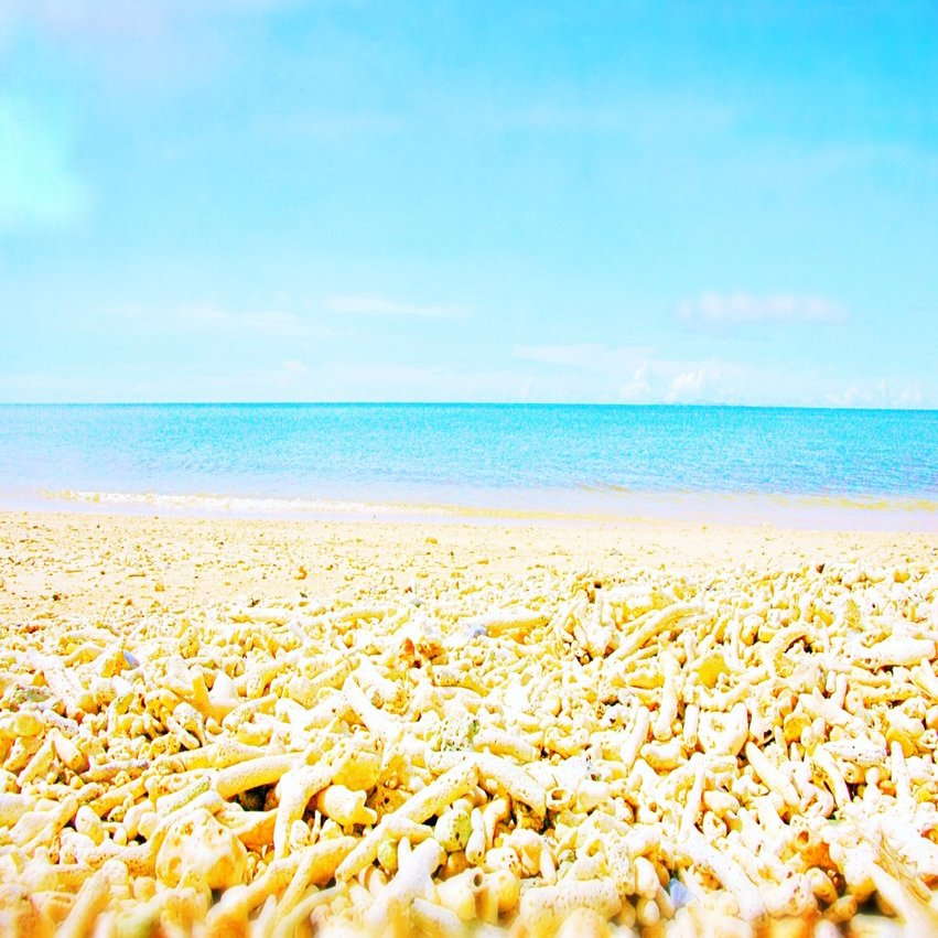 春と夏の風景写真をシェアします 素晴木あい Subarasikiai Note