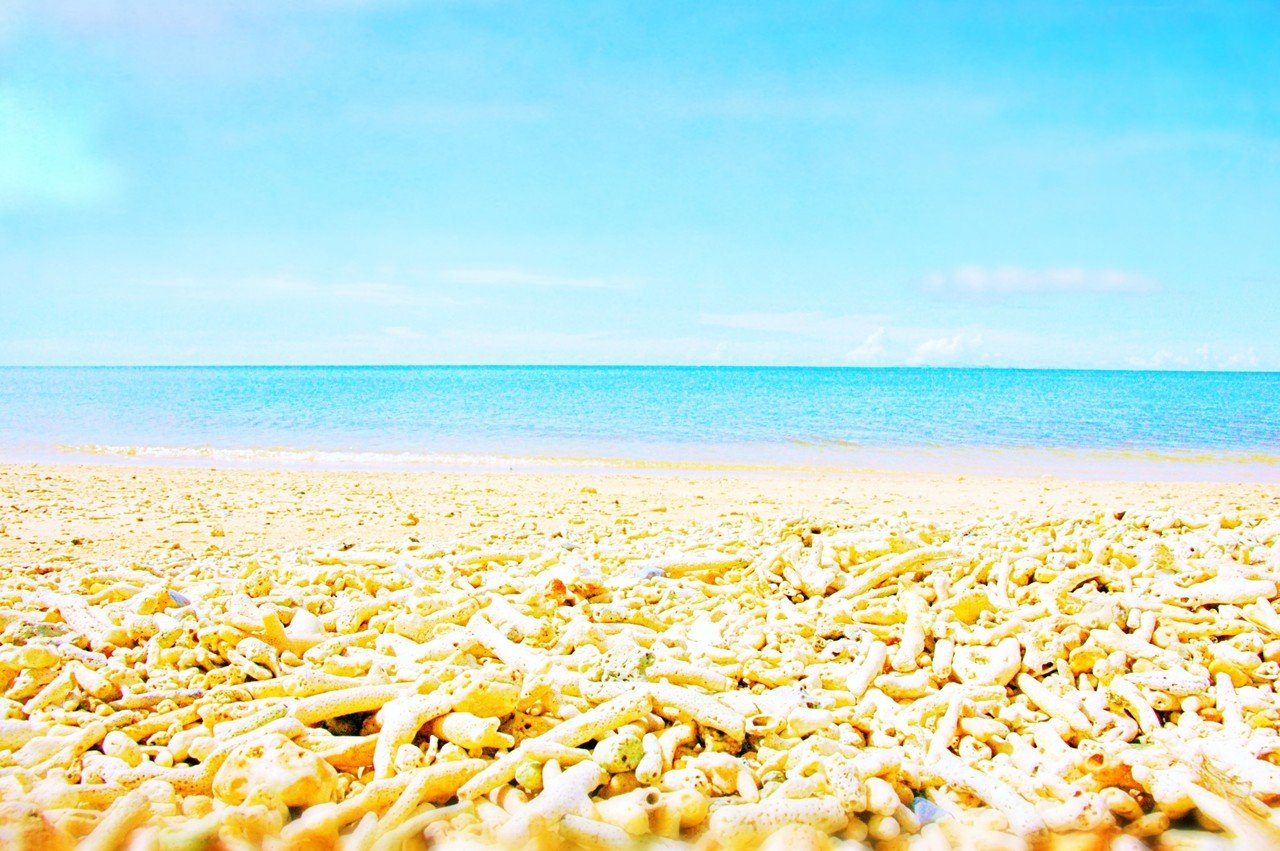 春と夏の風景写真をシェアします 素晴木あい Subarasikiai Note 春と夏の風景写真をシェアします 素晴木あい Subarasikiai Note