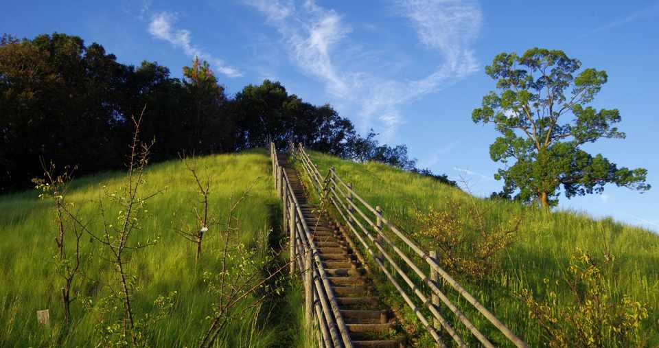 ホームエデュケーションとかホームスクールとか そんなカッコいい名前とは無縁のオトンとオカンの話 すぎな Note