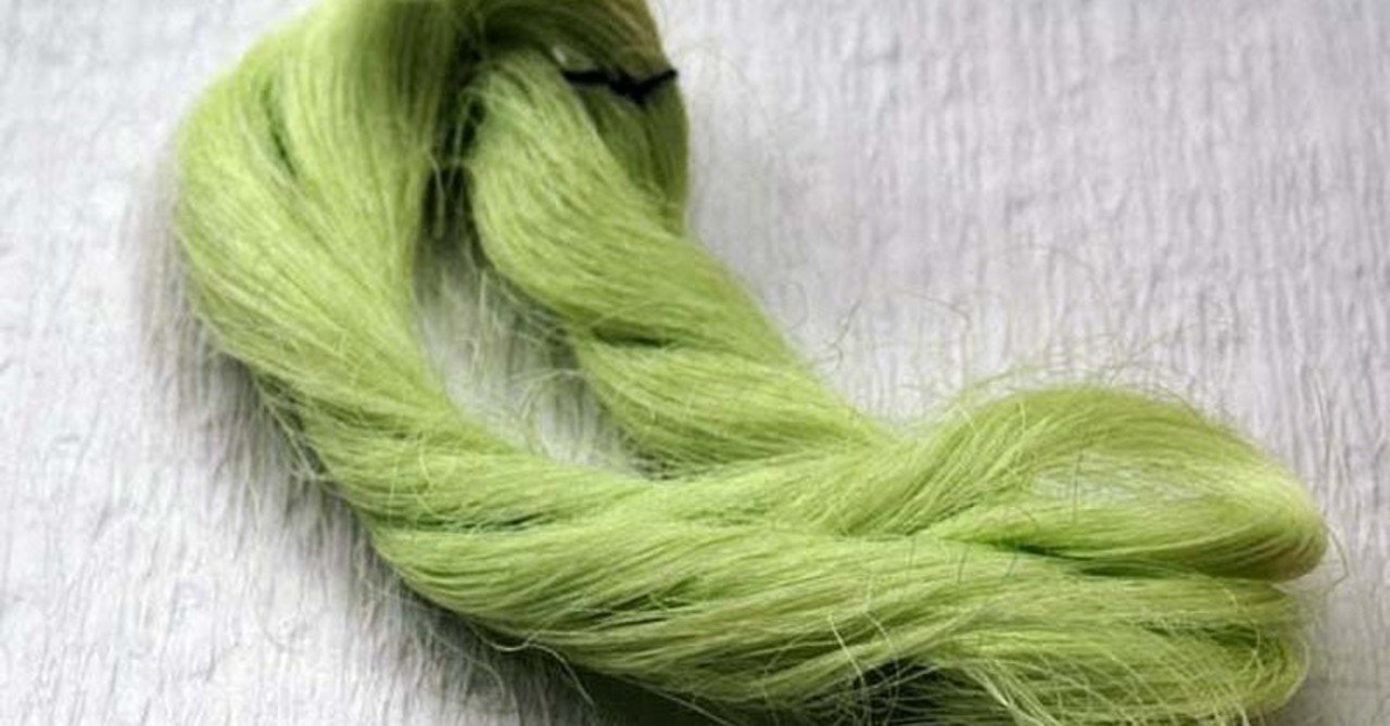 天蚕野蚕 じざいやさくらこ Note 天蚕野蚕 じざいやさくらこ Note