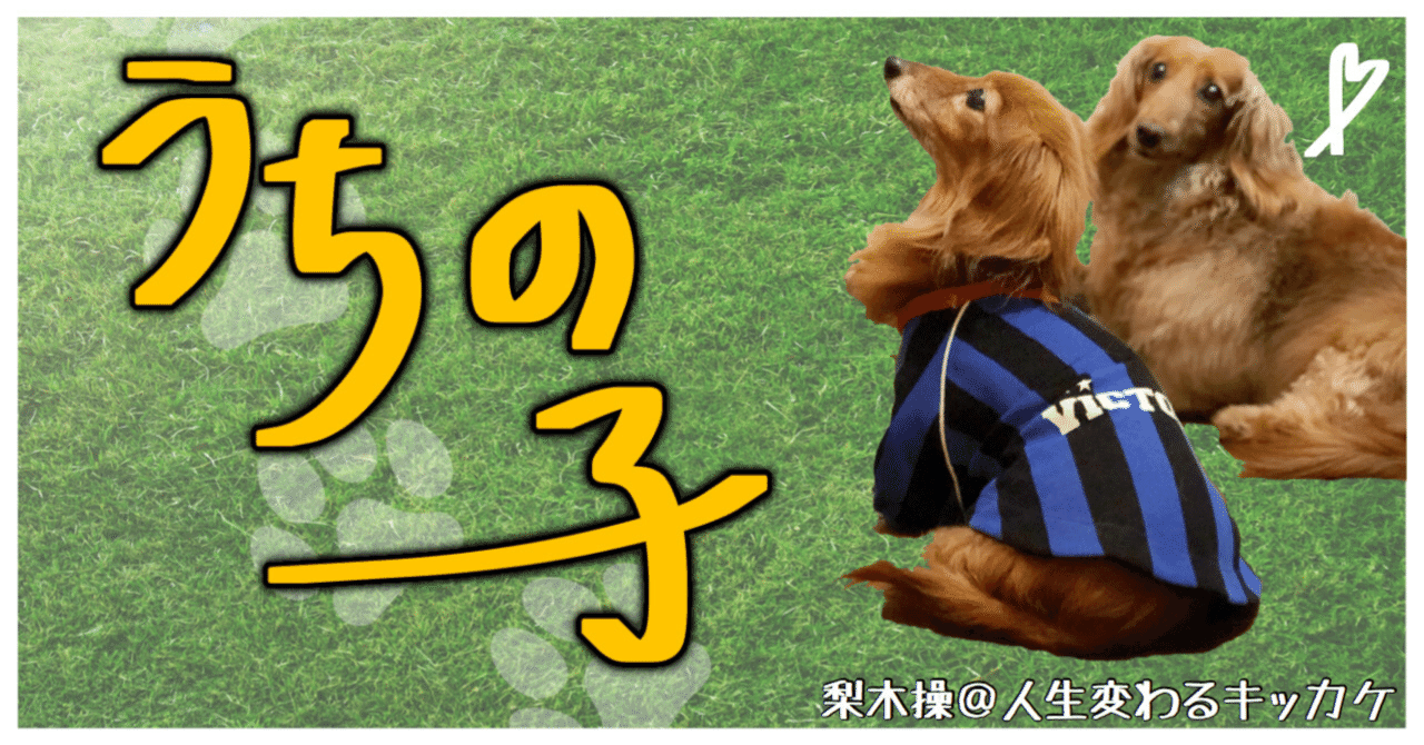 うちの子 の新着タグ記事一覧 Note つくる つながる とどける