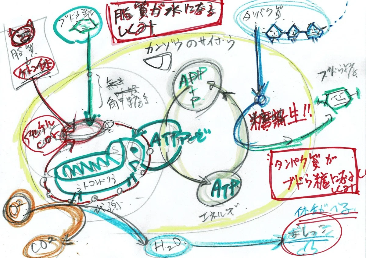 画像2
