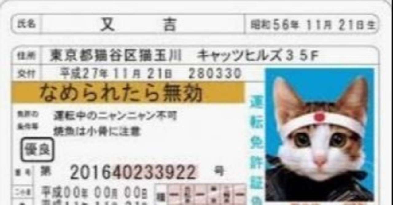 免許書の写真は お気に入りの勝負写真で リック西大寺 Note