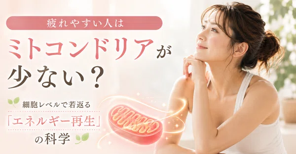 疲れやすい人はミトコンドリアが少ない？｜細胞レベルで若返る「エネルギー再生」の科学