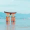 瀬戸内旅 / nao