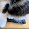 猫背下腹