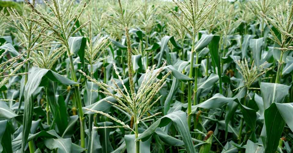 男と女と役割と生き方と視点と考察と いぶくろ聖志 Note