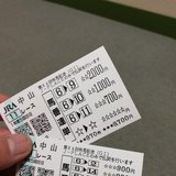 競馬で公務員をクビ。　三連単など買わなくても競馬は勝てることを証明する。