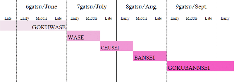 桃の品種紹介 0 桃の種類について 手しごとと想像力 Tsumori Note