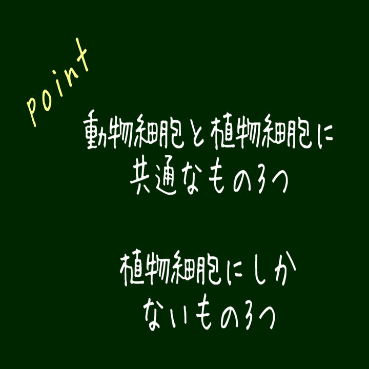 中学理科 細胞のつくりと生物のからだ ナマケモノの勉強術 Note