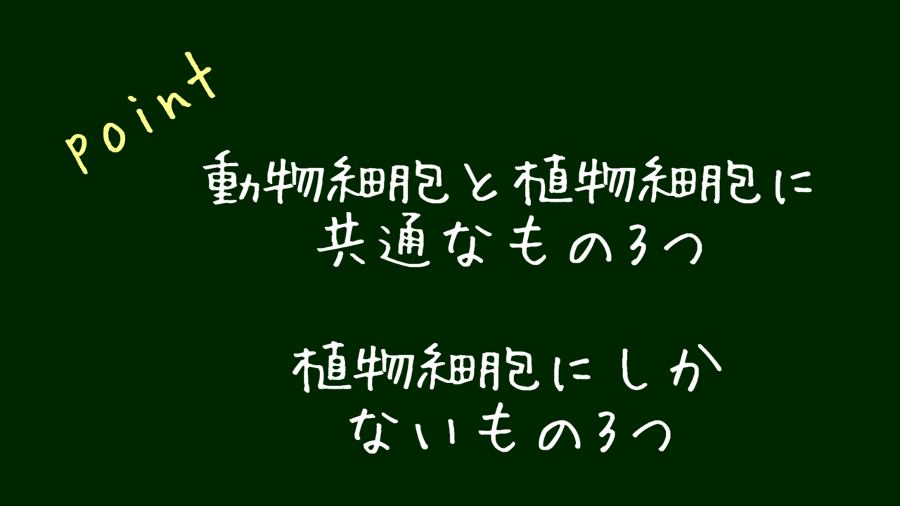 中学理科 細胞のつくりと生物のからだ ナマケモノの勉強術 Note 中学理科 細胞のつくりと生物のからだ ナマケモノの勉強術 Note
