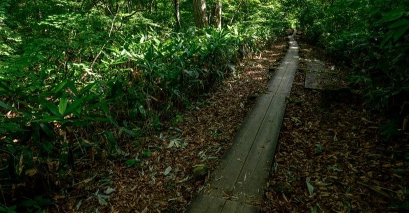 【百人一首鑑賞】大江山いく野の道の遠ければまだふみも見ず天の橋立　小式部内侍