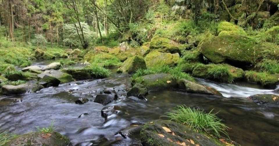 百人一首鑑賞 瀬をはやみ岩にせかるる滝川のわれても末に逢はむとぞ思ふ 崇徳院 Lady Kamaa Note