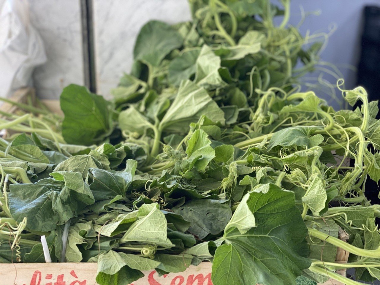 珍しいシチリア野菜で シチリア人のソウルフードを作る Kaorina091 Note 珍しいシチリア野菜で シチリア人のソウルフードを作る Kaorina091 Note